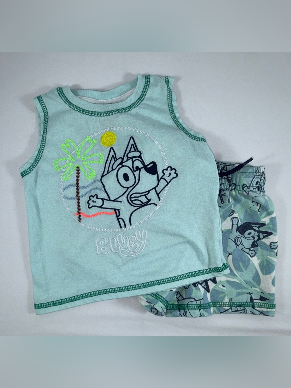Bluey 12M Toddler Boy’s 2-Piece Matching Shorts Set